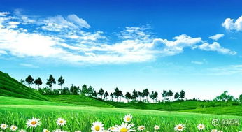 绿地宝仕魔都最in新能源环保科技体验之旅 热能技术革新与未来展望