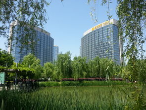 西安紫云环保科技集团 以创新热能技术驱动绿色未来